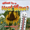 What Is a Heat Wave? by Robin Johnson, 9780778723974