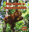 Baby animals in rainforest habitats by Bobbie Kalman, 9780778777458