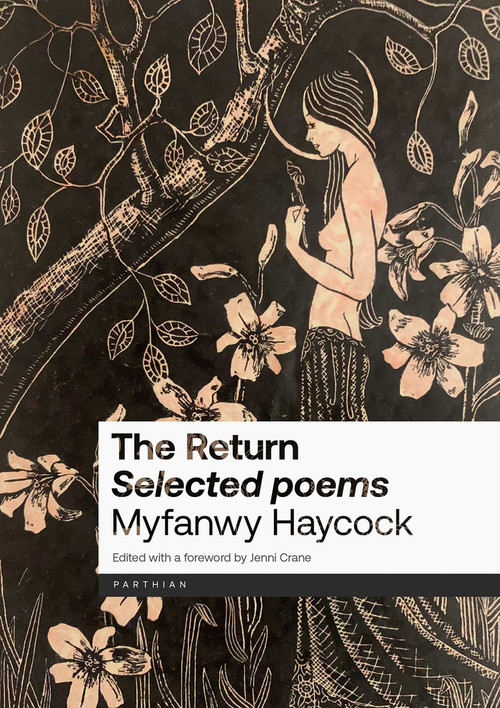 The Return - 9781914595882 by Jenni Crane, Myfanwy Haycock, 9781914595882