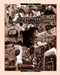 Visible Hands (Taking Responsibility for Social Development) by Unrisd, 9781853837999