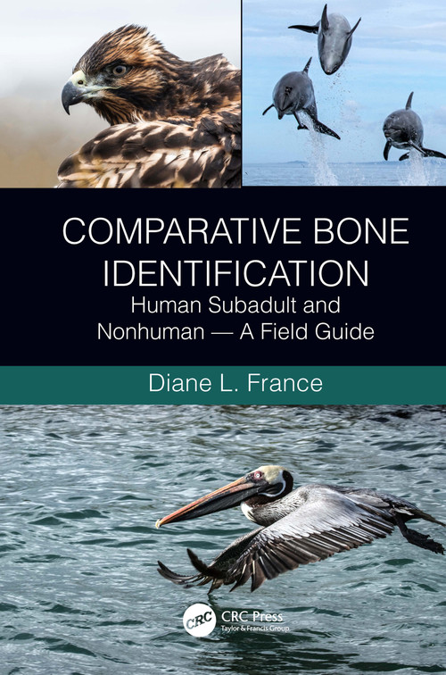 Comparative Bone Identification (Human Subadult and Nonhuman - A Field Guide) by Diane L. France, 9780367484514
