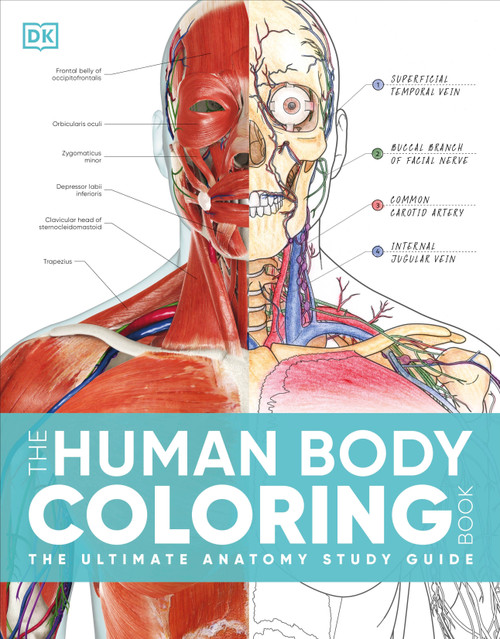 The Human Body Coloring Book (The Ultimate Anatomy Study Guide, Second Edition) by DK, 9780744098679