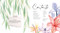 How to Paint Transparent Watercolour Flowers by Olga Koelsch, 9781800921474