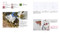 How to Paint Transparent Watercolour Flowers by Olga Koelsch, 9781800921474