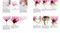 How to Paint Transparent Watercolour Flowers by Olga Koelsch, 9781800921474