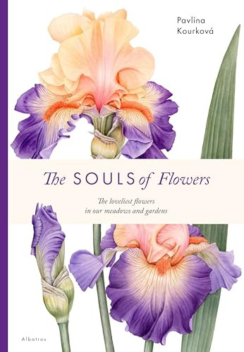 The Souls of Flowers by Pavlina Kourkova, Pavlina Kourkova, Klara Mandausova, 9788000071008