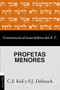 Comentario al texto hebreo del Antiguo Testamento - Profetas Menores (Spanish Edition) by Carl Friedrich Keil, Franz Julius Delitzsch, 9788418204104