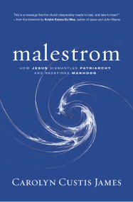 Malestrom (How Jesus Dismantles Patriarchy and Redefines Manhood) by Carolyn Custis James, Kristin Kobes Du Mez, 9780310138891