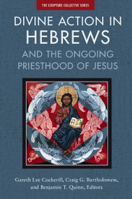 Divine Action in Hebrews (And the Ongoing Priesthood of Jesus) by Gareth Lee Cockerill, Craig Bartholomew, Benjamin T. Quinn, Zondervan, 9780310139102