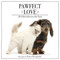 Pawfect Love (Life Is Best with a Love Like Yours (The Perfect Inspirational Gift for Animal Lovers)) by Warren Photographic, Zondervan, 9780310354130