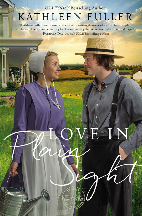 Love in Plain Sight by Kathleen Fuller, 9780310358992