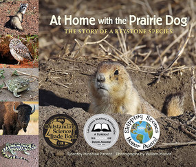 At Home with the Prairie Dog (The Story of a Keystone Species) by Dorothy Hinshaw Patent, William Munoz, 9781970039061