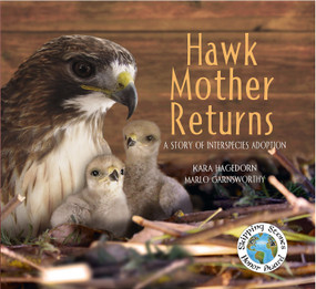 Hawk Mother Returns (A Story of Interspecies Adoption) by Kara Hagedorn, Marlo Garnsworthy, 9781970039085
