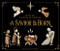 A Savior Is Born (Rocks Tell the Story of Christmas) by Patti Rokus, 9780310764960