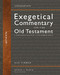 Nahum (A Discourse Analysis of the Hebrew Bible) by Daniel C. Timmer, Daniel I. Block, 9780310942429