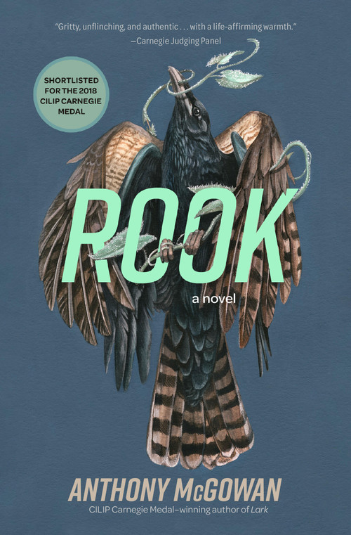 Rook (A Novel) by Anthony McGowan, 9781454954804