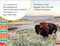 DK Super Readers Pre-Level A Bison's Tale by DK, 9780744094374