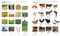 Spanish English Bilingual Visual Dictionary by DK, 9780744097931