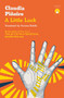 A Little Luck by Claudia Piñeiro, Frances Riddle, 9781913867553