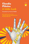 A Little Luck by Claudia Piñeiro, Frances Riddle, 9781913867553