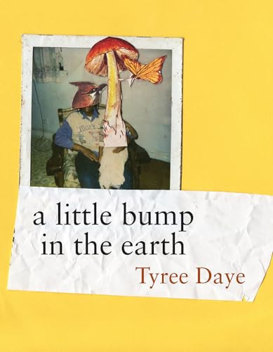 a little bump in the earth by Tyree Daye, 9781556596889