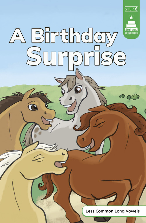 A Birthday Surprise by Sara Schultz, Leanna Koch, Kristen Cowen, 9781484698884