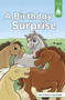A Birthday Surprise by Sara Schultz, Leanna Koch, Kristen Cowen, 9781484698884
