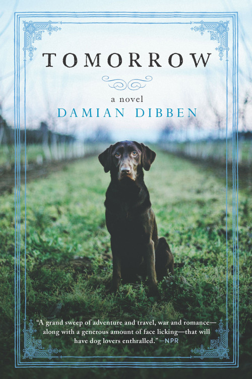 Tomorrow (A Novel) by Damian Dibben, 9781335251008