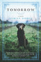 Tomorrow (A Novel) by Damian Dibben, 9781335251008