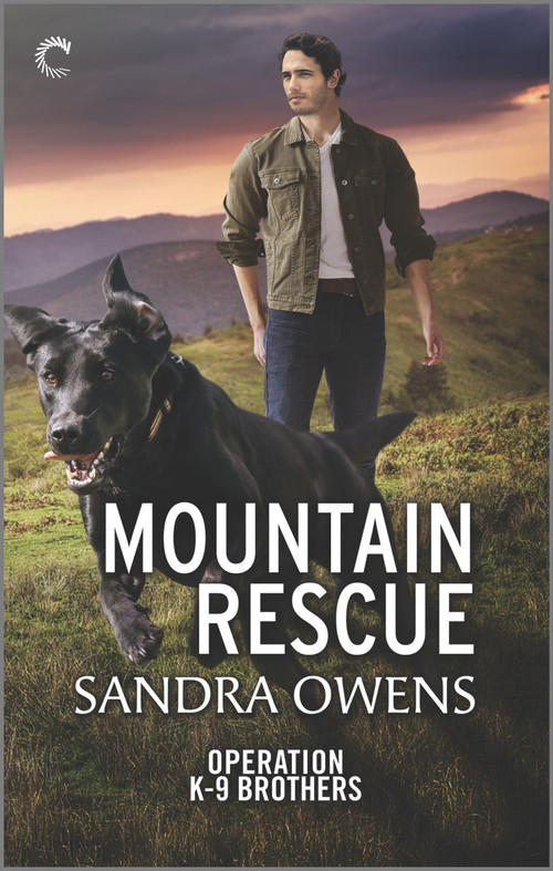 Mountain Rescue (A Thrilling Romantic Suspense Novel) by Sandra Owens, 9781335401854