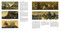Los tesoros del Prado / Treasures of the National Prado Museum (Spanish Edition) by Museo Del Prado, 9788419501431