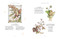 El gran libro de las hadas flores / The Complete Book of the Flower Fairies (Spanish Edition) by Cicely Mary Barker, 9788419848185