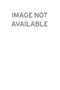 The Pornography Business - 9780415719094 by Frederick S. Lane, 9780415719094