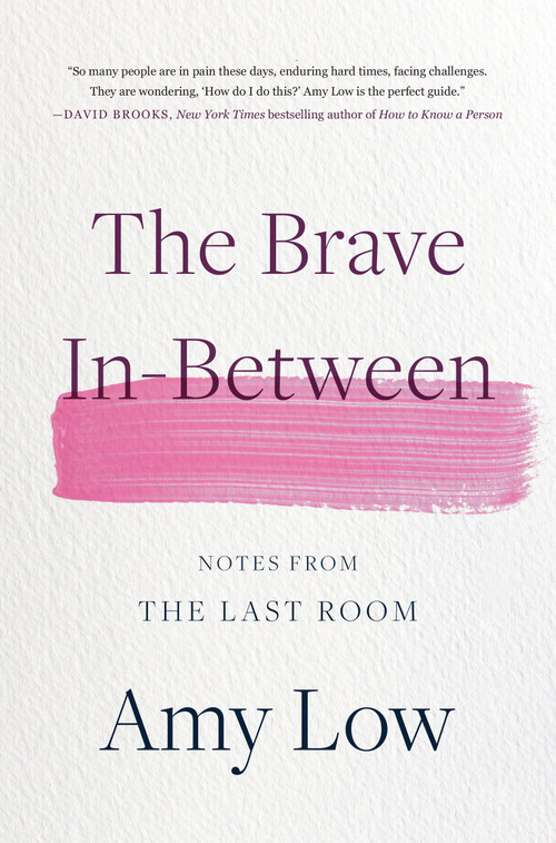 The Brave In-Between (Notes from the Last Room) by Amy Low, 9780306831799