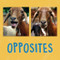 Opposites (English Edition) by Kathy Knowles, 9780228702474