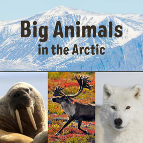 Big Animals in the Arctic (English Edition) by Arvaaq Press, 9780228702054
