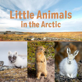 Little Animals in the Arctic (English Edition) by Arvaaq Press, 9780228702078