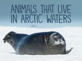 Animals That Live in Arctic Waters (English Edition) by Arvaaq Press, 9780228702092