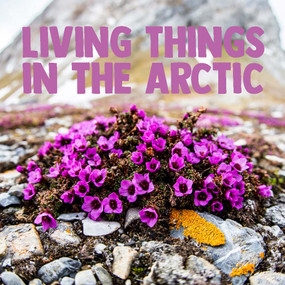 Living Things in the Arctic (English Edition) by Arvaaq Press, 9780228702313