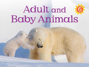 Adult and Baby Animals (English Edition) by Kelly Ward-Wills, 9781772660838