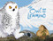 The Owl and the Lemming Big Book (English Edition) by Roselynn Akulukjuk, Amiel Sandland, 9781772665901