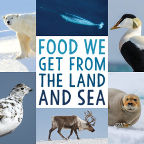 Food We Get from the Land and Sea (English Edition) by Arvaaq Press, 9781772668223