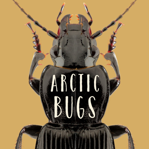 Arctic Bugs (English Edition) by Arvaaq Press, 9781772668247