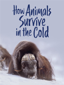 How Animals Survive in the Cold (English Edition) by Kelly Graham, Kim Smith, 9781772668834