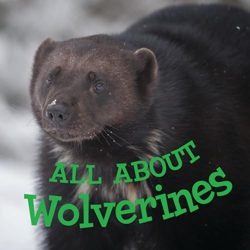 All about Wolverines (English Edition) by Jordan Hoffman, 9780228705321