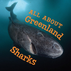 All About Greenland Sharks (English Edition) by Jordan Hoffman, 9781774500644