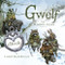 Gwelf: The Survival Guide by Larry MacDougall, 9781777081737