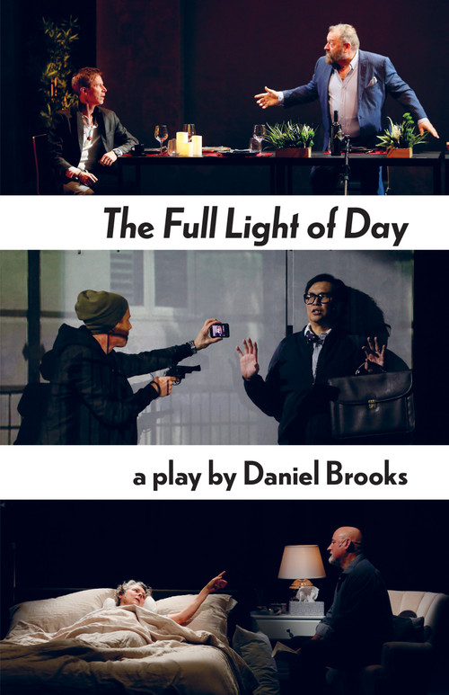 The Full Light of Day by Daniel Brooks, 9781772013634