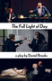 The Full Light of Day by Daniel Brooks, 9781772013634