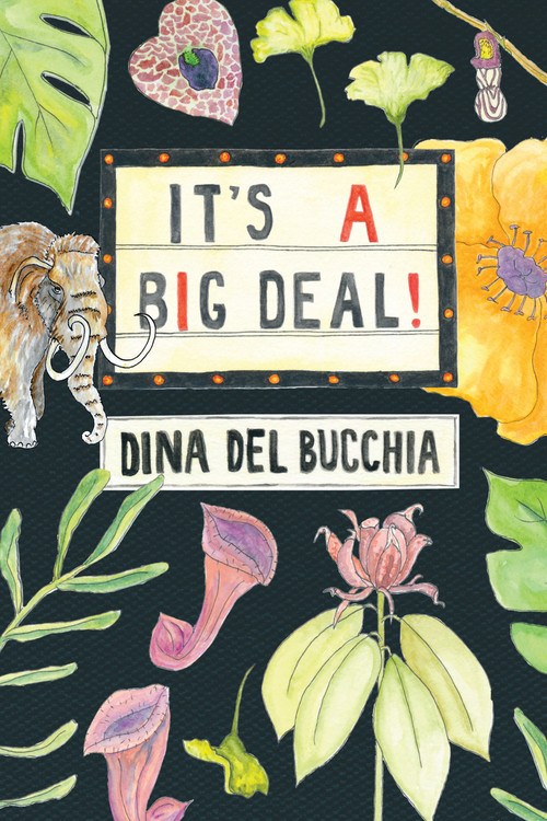 It's a Big Deal! by Dina Del Bucchia, 9781772012255